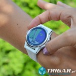 Fenix5splussilver.jpg