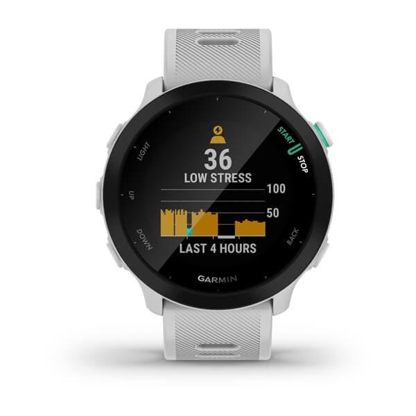 garmin-forerunner-55-010-02562-11_5.jpg
