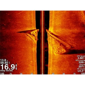sc-01-lg.jpg