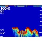 sc-05-lg.jpg