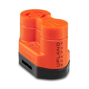cf-lg (1).jpg