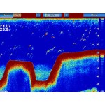 sc-03-lg.jpg