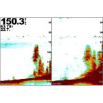sc-03-lg.jpg