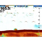 sc-04-lg.jpg