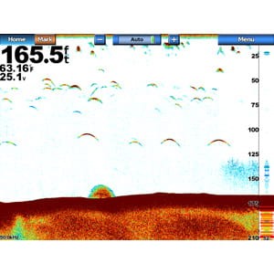 sc-04-lg.jpg