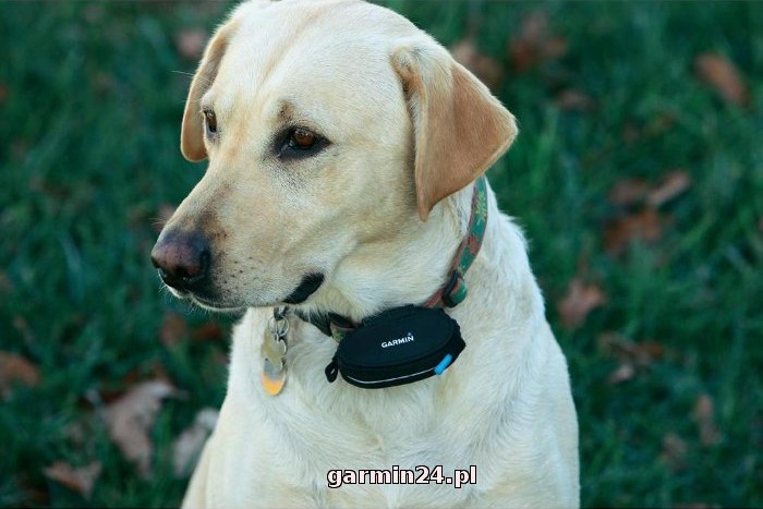 Garmin GTU 10
