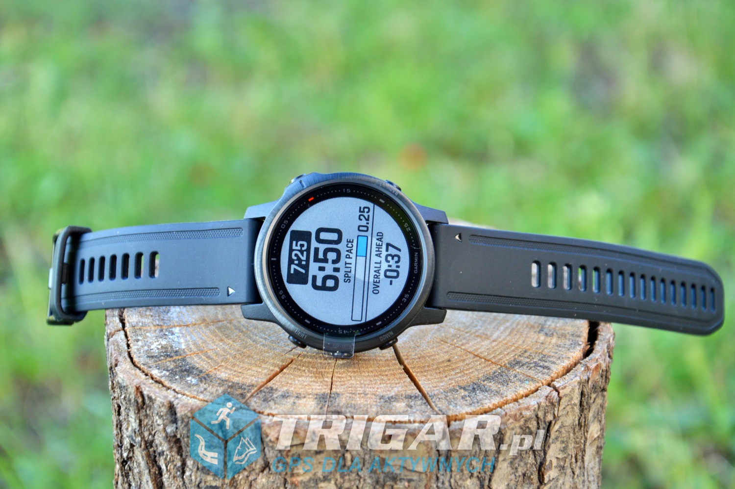 fenix-6s-pro