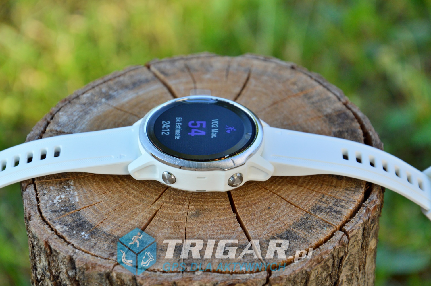 fenix-6s-white