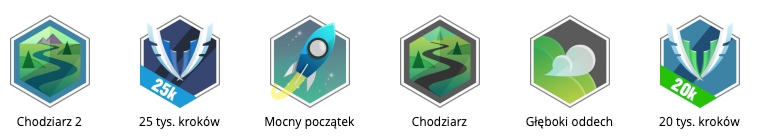 Odznaki Garmin